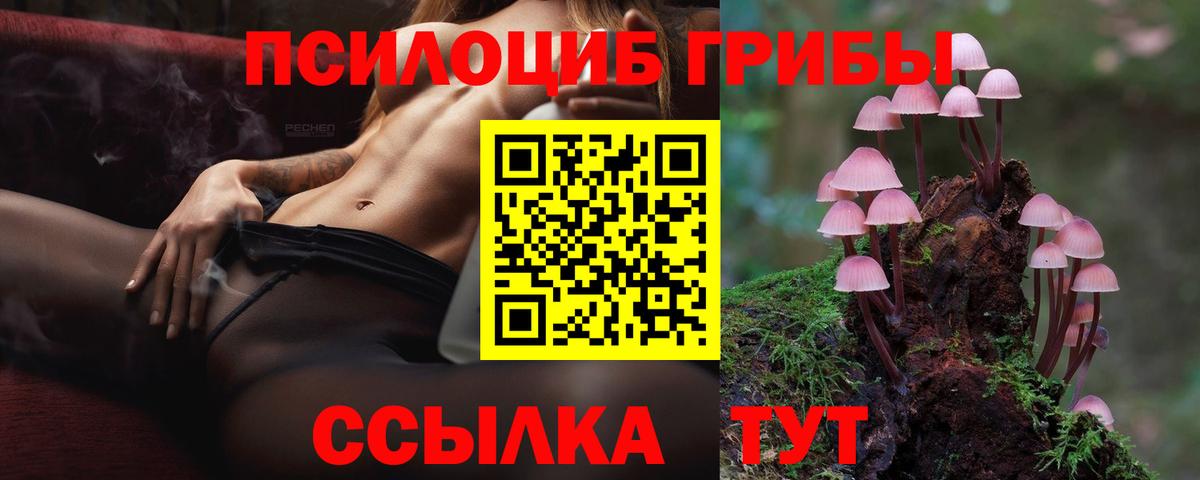 Псилоцибиновые грибы мицелий Карталы